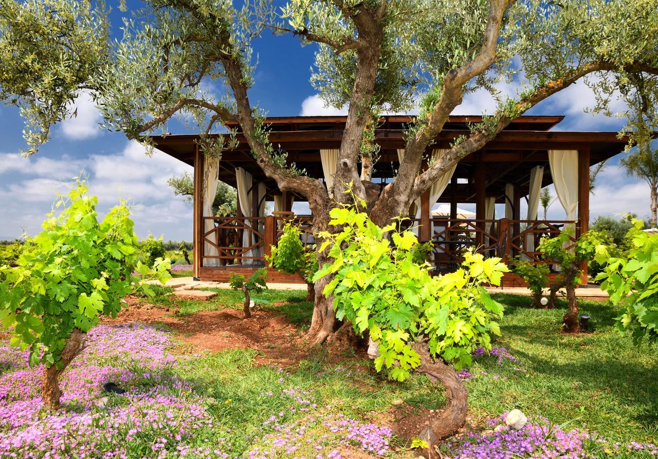 Chateau Roslane Boutique Hotel & Spa Meknès Dış mekan fotoğraf