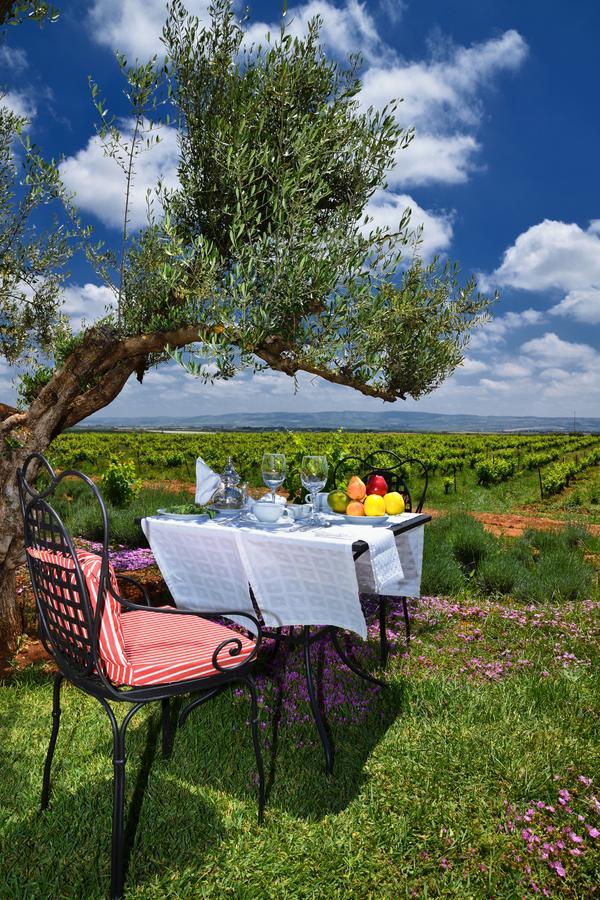 Chateau Roslane Boutique Hotel & Spa Meknès Dış mekan fotoğraf